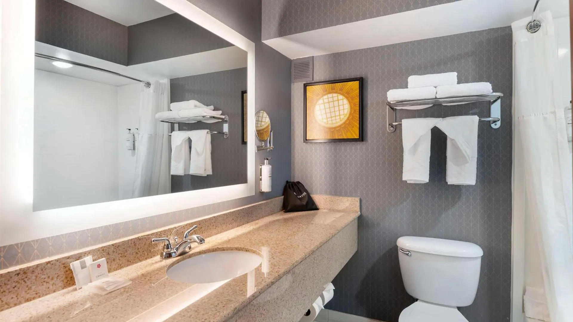 Hotel Best Western Premier Richmond City Gateway